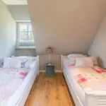 Grosse Lachmoewe
