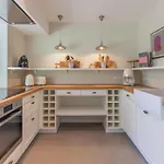 Grosse Lachmoewe * Böhl