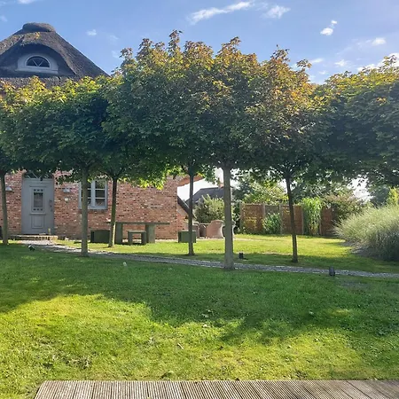Grosse Lachmoewe Feriehus