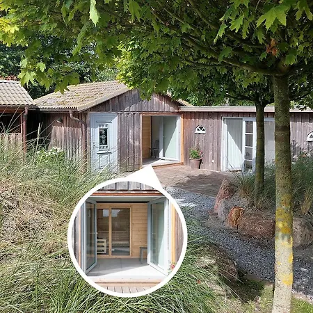 Grosse Lachmoewe Feriehus Böhl