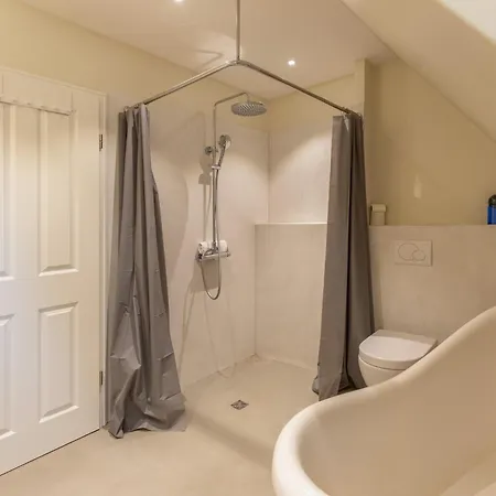 Grosse Lachmoewe Sankt Peter-Ording