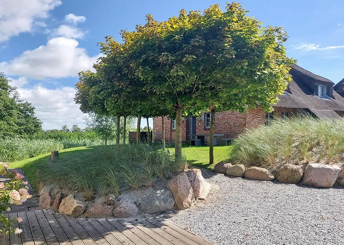 Grosse Lachmoewe * Sankt Peter-Ording