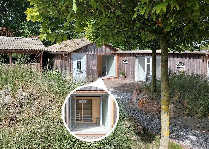 Grosse Lachmoewe Feriehus Böhl