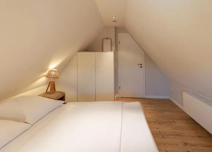 Grosse Lachmoewe Feriehus Böhl
