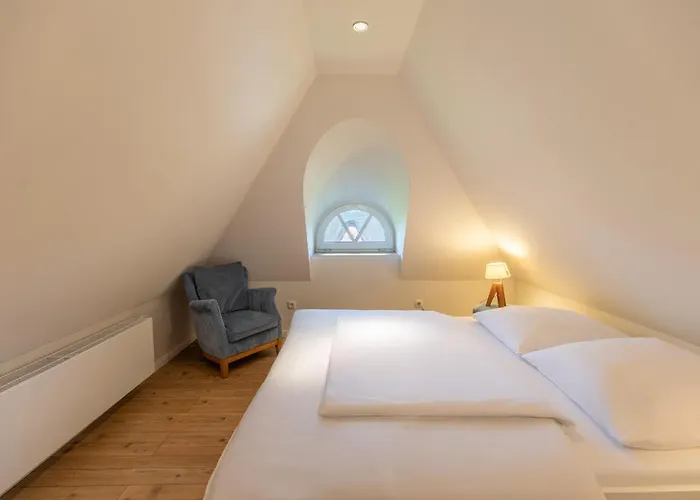Grosse Lachmoewe Feriehus Böhl