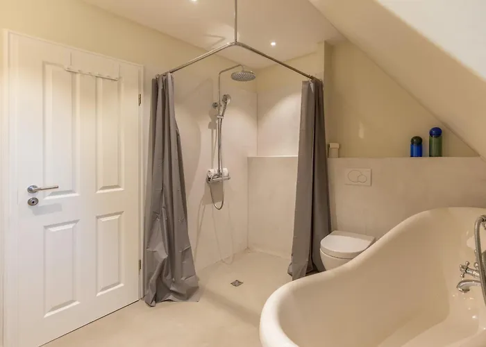 Grosse Lachmoewe Sankt Peter-Ording