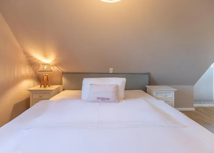 Grosse Lachmoewe Vakantiehuis