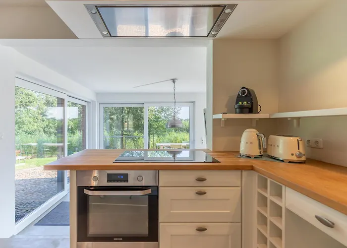 Grosse Lachmoewe Sankt Peter-Ording